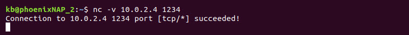 Device 2 nc -v 10.0.2.4 1234 connection terminal output