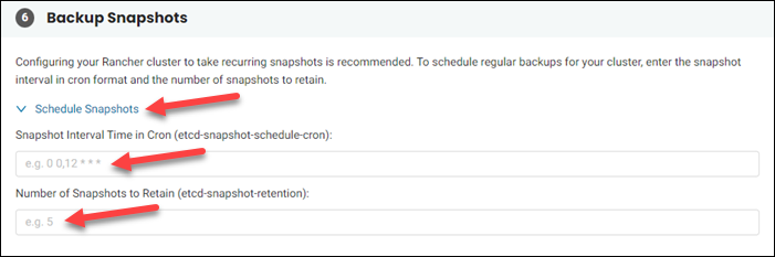 Advanced configuration settings - Backup Snapshots section.