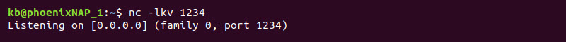 nc -lkv 1234 terminal output