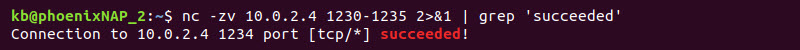 nc scan open port grep succeeded terminal output