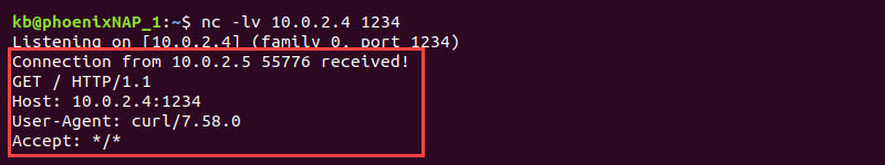 nc web server connection curl terminal output