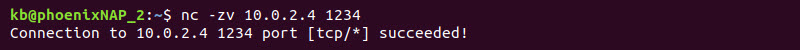 nc -zv 10.0.2.4 1234 open port terminal output
