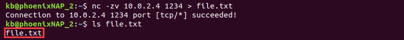 nc -zv file transfer complete