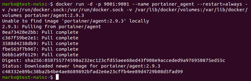 Installing a Portainer Agent instance with the docker run command.