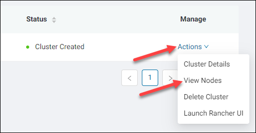 Viewing nodes via the Actions menu of the cluster dashboard.