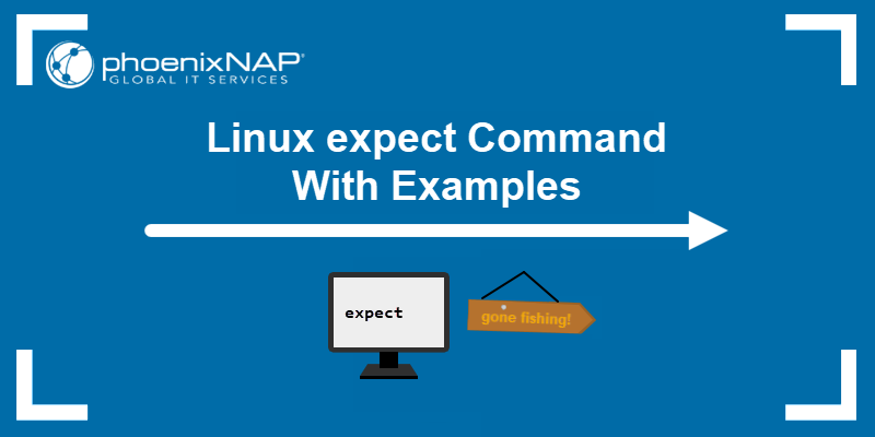Linux expect Command With Examples