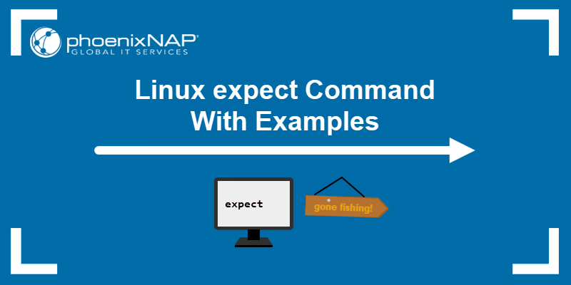 linux-expect-command-basic-use-with-variables-and-commands