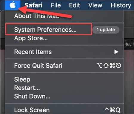 Open System Preferences on Mac OS.