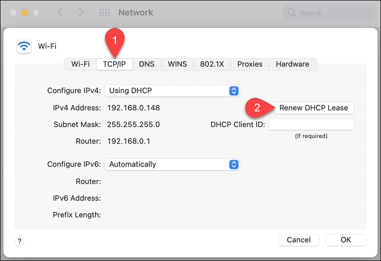 Renewing the IP address in macOS.
