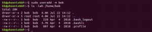 How to Create/Add Users in Linux | phoenixNAP KB