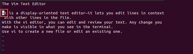 Vim the Slash and Dot Command - Using n Terminal Output