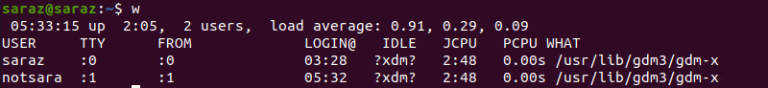whoami Linux Command With Examples and Alternatives