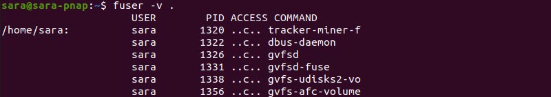 Fuser Command Current Directory Verbose Terminal Output