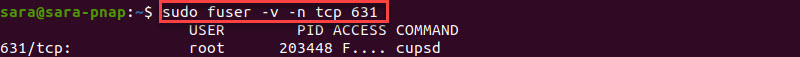 fuser Command TCP Terminal Output