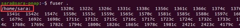 fuser Linux Command With Examples | phoenixNAP KB