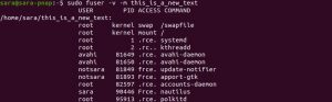 fuser Linux Command With Examples | phoenixNAP KB