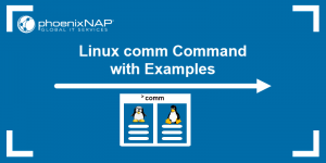 Linux comm Command with Examples | phoenixNAP KB