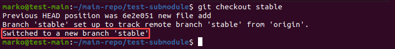 Switching branches in submodules using the git checkout command.