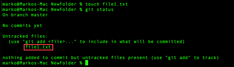 The git status command in a folder with a new file created.