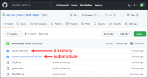 github add submodule branch