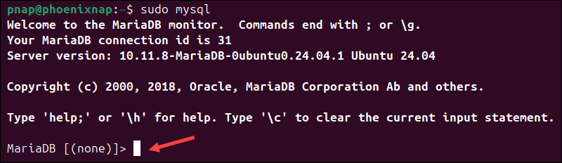 Accessing MariaDB to install PowerDNS on Ubuntu.