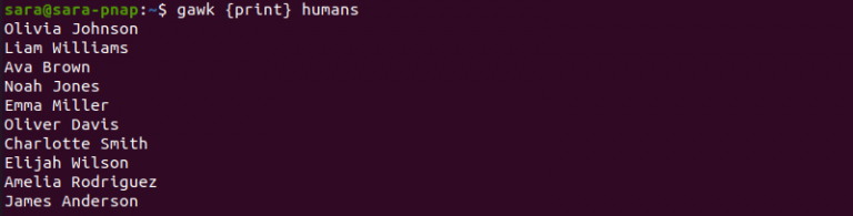 gawk Linux Command {With 10 Examples} | phoenixNAP KB