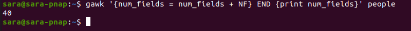 gawk total number of fields terminal output