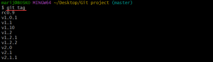 Git Tag: The Basic Actions and Functions {+ Examples}