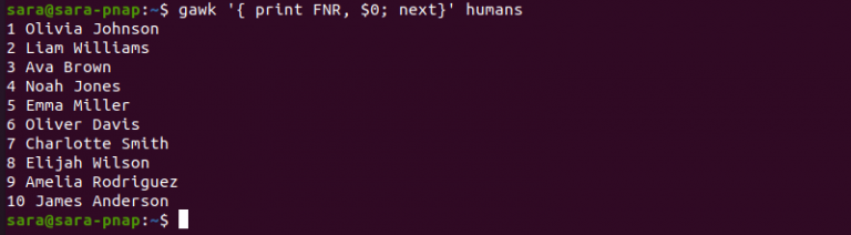 gawk Linux Command {With 10 Examples} | phoenixNAP KB