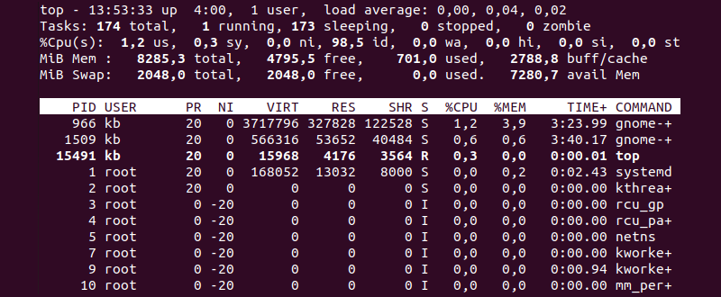 top command terminal program output
