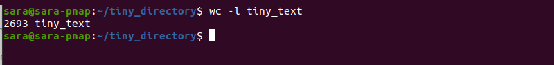 wc l tiny text terminal output