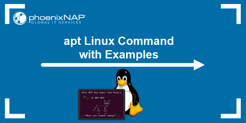 apt Linux Command with Examples