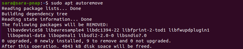 sudo apt autoremove terminal output