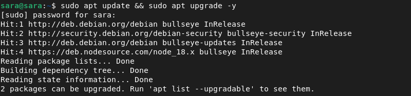 sudo apt update and sudo apt upgrade -y terminal output
