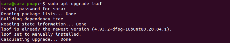 sudo apt upgrade lsof terminal output