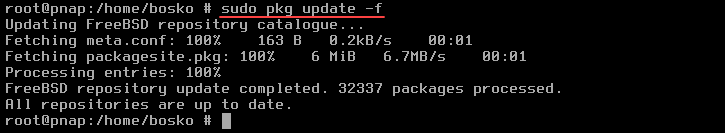 Updating the package repository on FreeBSD.