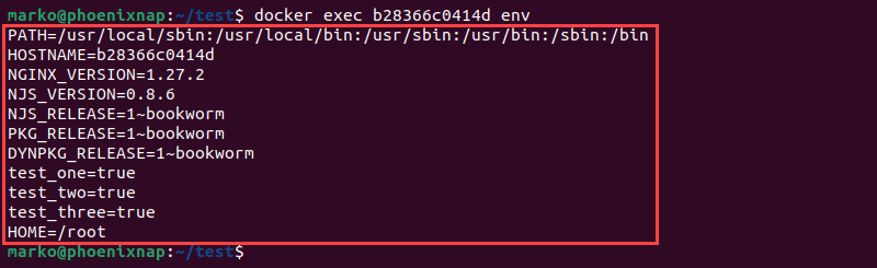 The env command executed using docker exec showing environment variable in a running container.