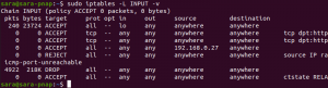 sudo iptables