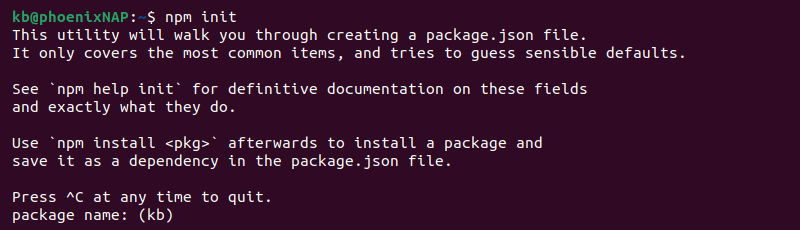 npm init package.json terminal output