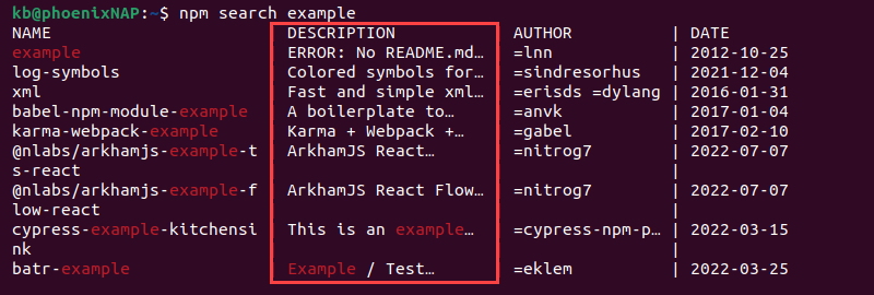 npm search example description terminal output