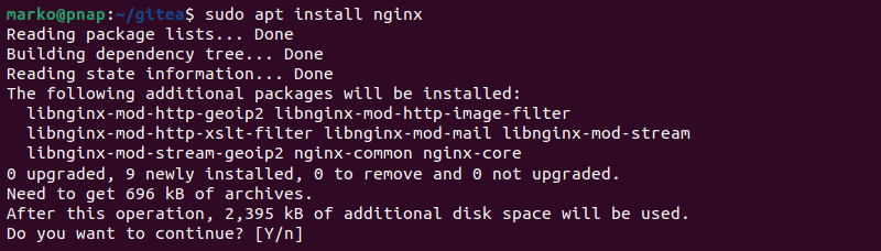 Installing Nginx as a reverse proxy.
