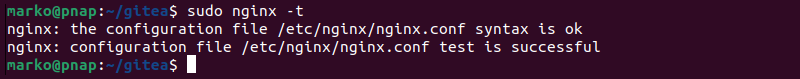 Testing Nginx configuration.