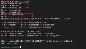 How To Use Telnet Command In Linux? {With Practical Examples}