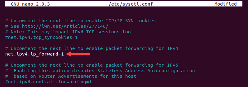 Enabling packet forwarding on Linux.
