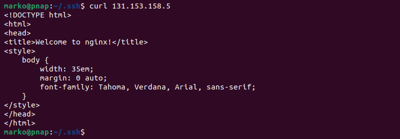 Using curl to test the Iptables configuration.