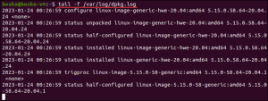 Linux tail Command (with Examples) | phoenixNAP KB