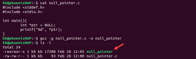Compiled code null_pointer terminal output
