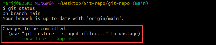 The output of running git status after checking out a file.