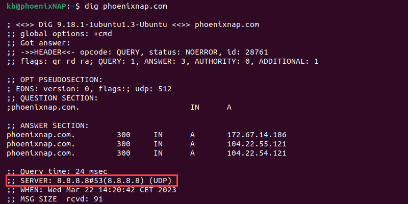 dig phoenixnap.com terminal output Google DNS server configuration