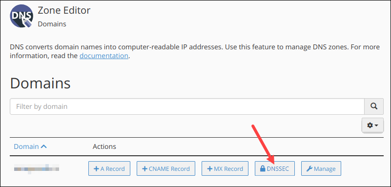Editing DNSSEC in cPanel Zone Editor.
